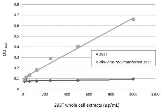 Zika Virus NS1 Antibody in ELISA (ELISA)