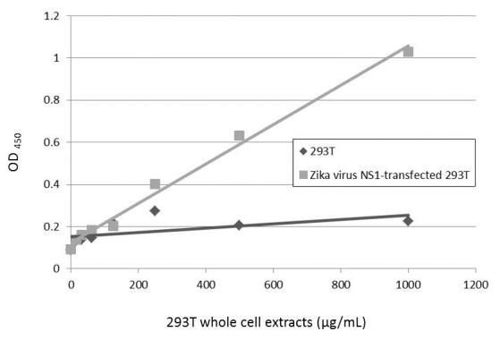 Zika Virus NS1 Antibody in ELISA (ELISA)