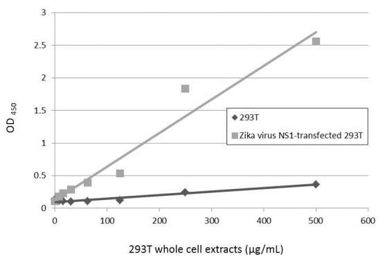 Zika Virus NS1 Antibody in ELISA (ELISA)