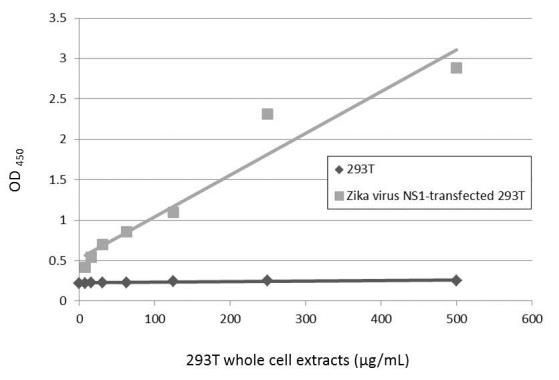 Zika Virus NS1 Antibody in ELISA (ELISA)