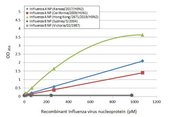 Influenza A NP Antibody in ELISA (ELISA)