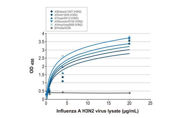 Influenza A NP Antibody in ELISA (ELISA)