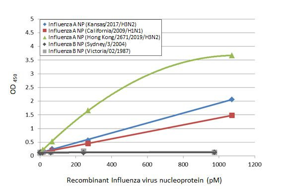 Influenza A NP Antibody in ELISA (ELISA)