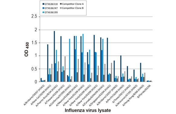 Influenza A NP Antibody in ELISA (ELISA)