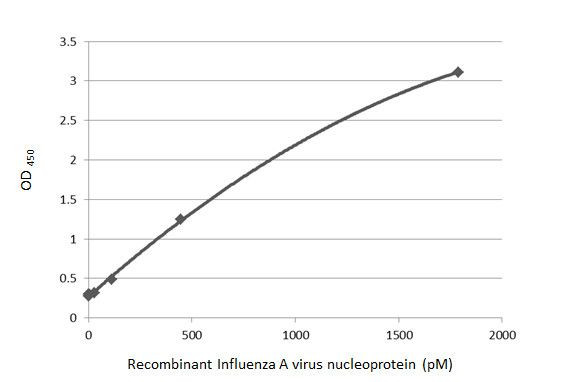 Influenza A NP Antibody in ELISA (ELISA)