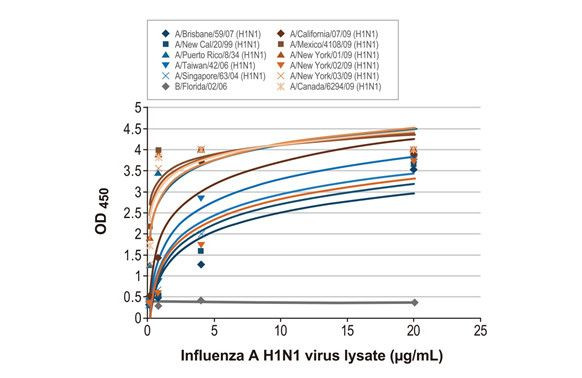 Influenza A NP Antibody in ELISA (ELISA)