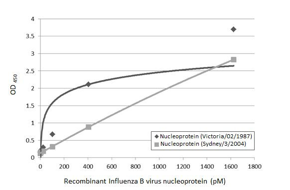 Influenza B NP Antibody in ELISA (ELISA)