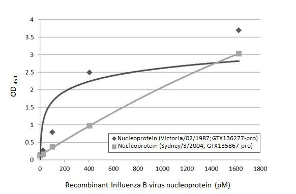 Influenza B NP Antibody in ELISA (ELISA)