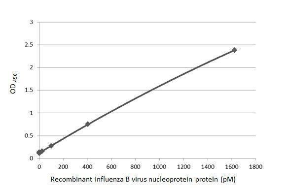 Influenza B NP Antibody in ELISA (ELISA)