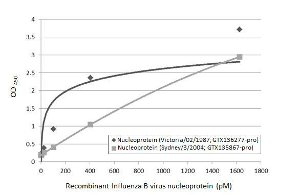 Influenza B NP Antibody in ELISA (ELISA)