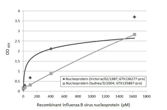 Influenza B NP Antibody in ELISA (ELISA)