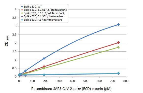 SARS-CoV-2 Spike Protein (RBD) Antibody in ELISA (ELISA)