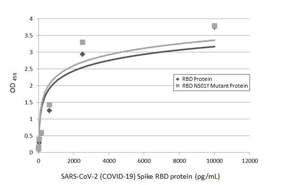 SARS-CoV-2 Spike Protein (RBD) Antibody in ELISA (ELISA)