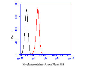Myeloperoxidase Antibody in Flow Cytometry (Flow)