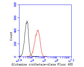 Glutamine Synthetase Antibody in Flow Cytometry (Flow)