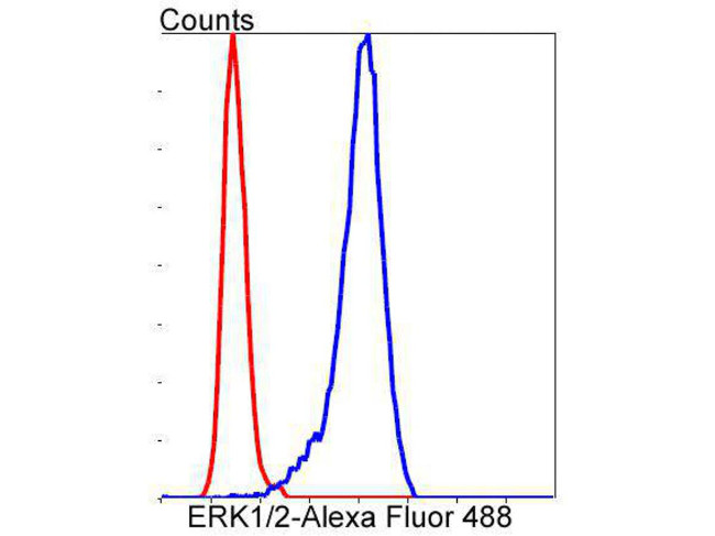 ERK1/ERK2 Antibody in Flow Cytometry (Flow)