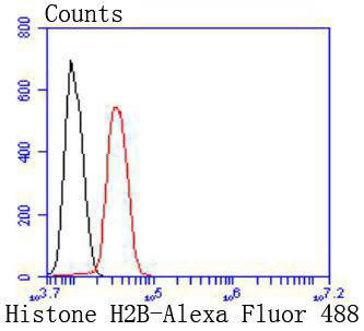 Histone H2B Antibody in Flow Cytometry (Flow)