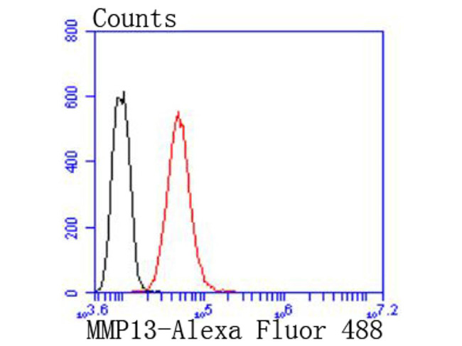 MMP13 Antibody in Flow Cytometry (Flow)