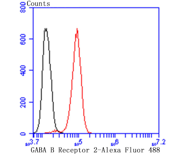 GABBR2 Antibody in Flow Cytometry (Flow)