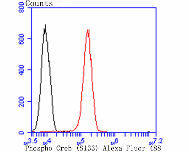 Phospho-CREB (Ser133) Antibody in Flow Cytometry (Flow)