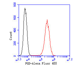 PGD Antibody in Flow Cytometry (Flow)