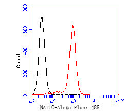 NAT10 Antibody in Flow Cytometry (Flow)