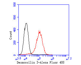 Desmocollin 3 Antibody in Flow Cytometry (Flow)