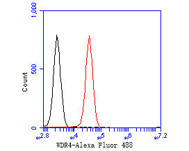 WDR4 Antibody in Flow Cytometry (Flow)