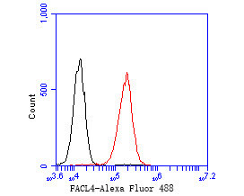 ACSL4 Antibody in Flow Cytometry (Flow)