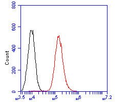 AGTR1 Antibody in Flow Cytometry (Flow)