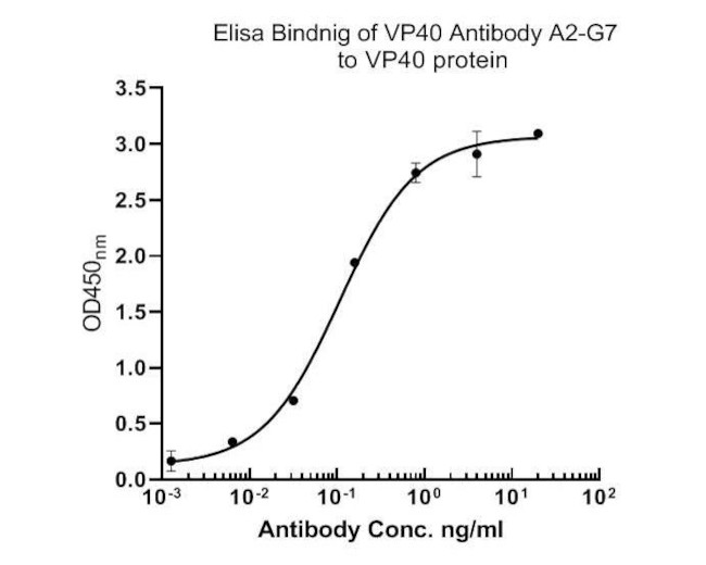 Ebola Virus VP40 Antibody in ELISA (ELISA)