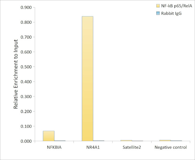 NFkB p65 Antibody in ChIP Assay (ChIP)