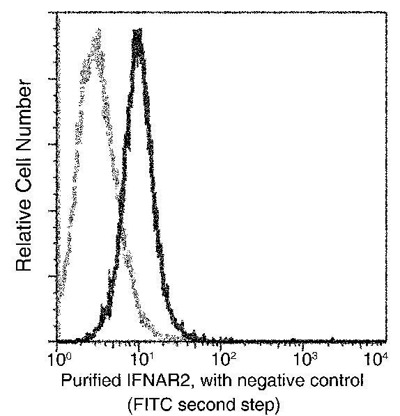 IFNAR2 Antibody in Flow Cytometry (Flow)