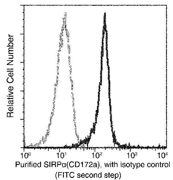 SIRP alpha Antibody in Flow Cytometry (Flow)