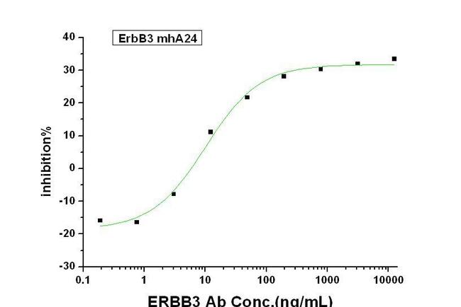 ErbB3 Chimeric Antibody in Neutralization (Neu)