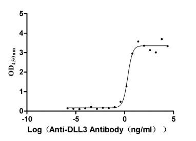 DLL3 Antibody in ELISA (ELISA)