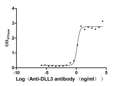 DLL3 Antibody in ELISA (ELISA)