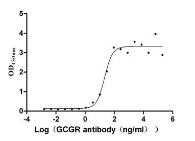 Glucagon Receptor Antibody in ELISA (ELISA)