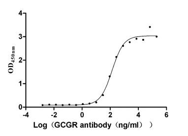 Glucagon Receptor Antibody in ELISA (ELISA)