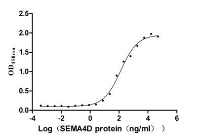 CD100 (SEMA4D) Antibody in ELISA (ELISA)