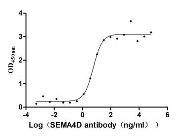 CD100 (SEMA4D) Antibody in ELISA (ELISA)
