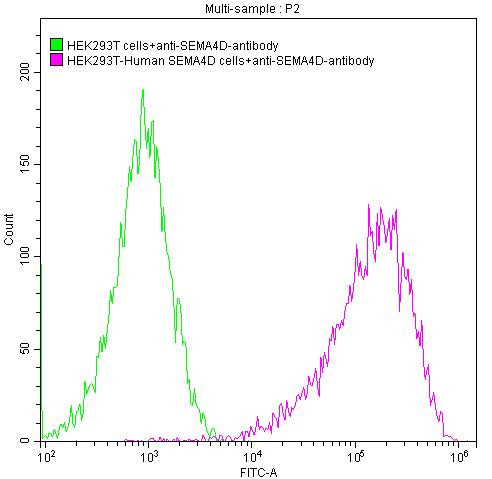 CD100 (SEMA4D) Antibody in Flow Cytometry (Flow)