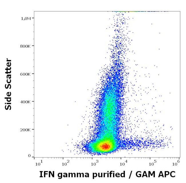 IFN gamma Antibody in Flow Cytometry (Flow)