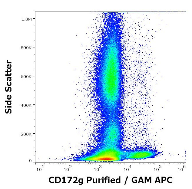 SIRP gamma Antibody in Flow Cytometry (Flow)