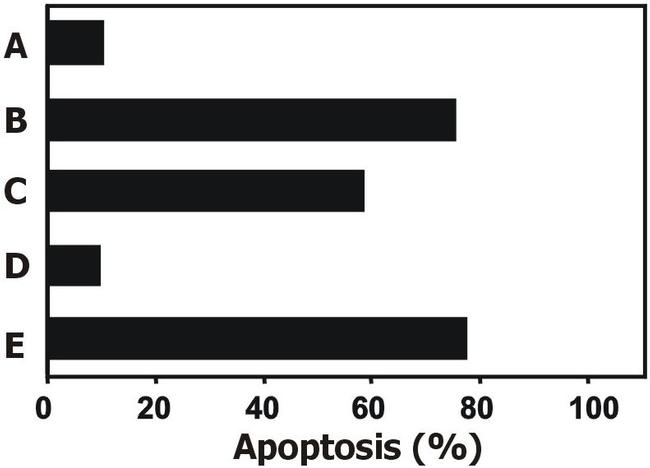 TRAIL Antibody in Functional Assay (Functional)