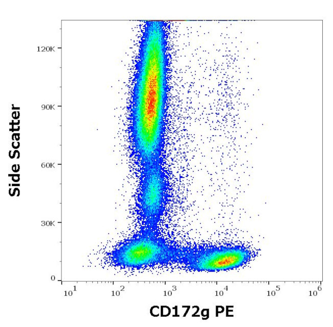 SIRP gamma Antibody in Flow Cytometry (Flow)