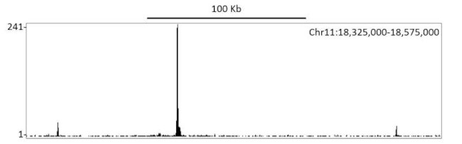 HIF-1 alpha Antibody in ChIP-Sequencing (ChIP-seq)