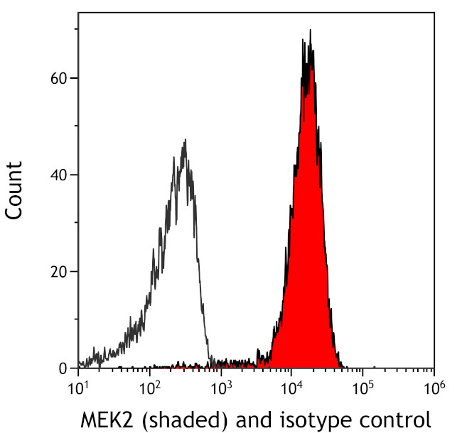 MEK2 Antibody in Flow Cytometry (Flow)