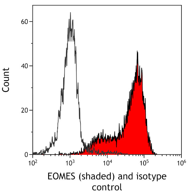 EOMES Antibody in Flow Cytometry (Flow)