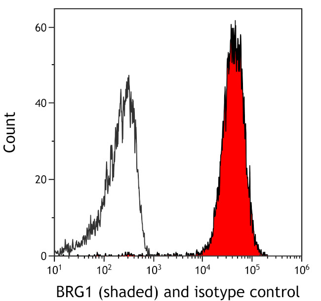 BRG1 Antibody in Flow Cytometry (Flow)